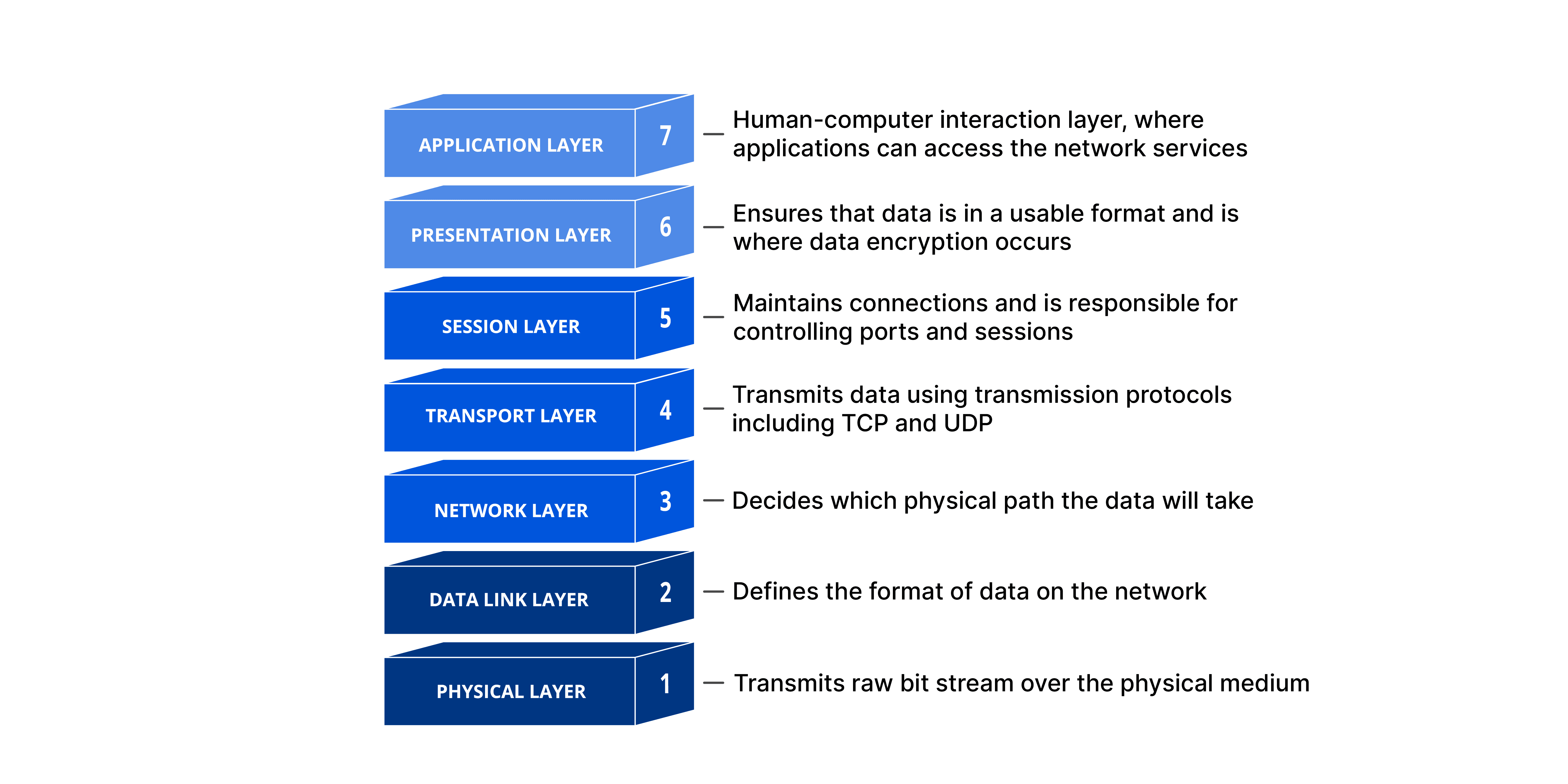 Understanding the OSI Model - The Backbone of Network Communication